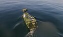 Californiano registra submarino misterioso durante remada na Califórnia (EUA). Foto: Osher Gunsberg Californiano registra submarino misterioso durante remada na Califórnia (EUA). Foto: Osher Gunsberg